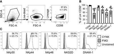 Human placental hematopoietic stem cell-derived natural killer cells (CYNK) recognize and eliminate influenza A virus-infected cells